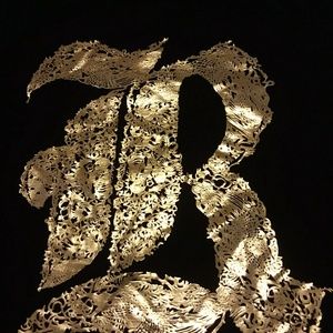 Vintage Ruff Ryders Men's Large Polo